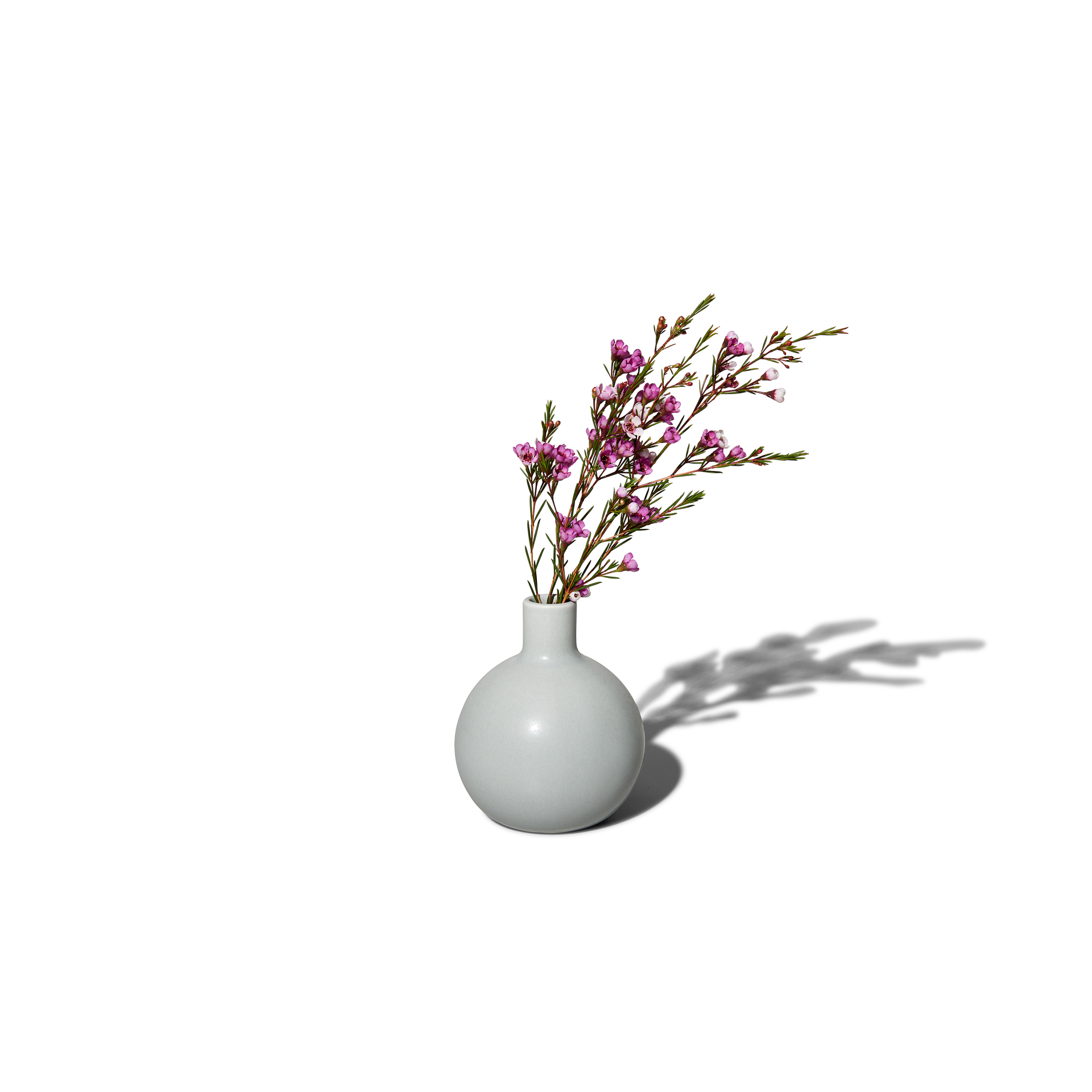 Bud Vase in Pigeon