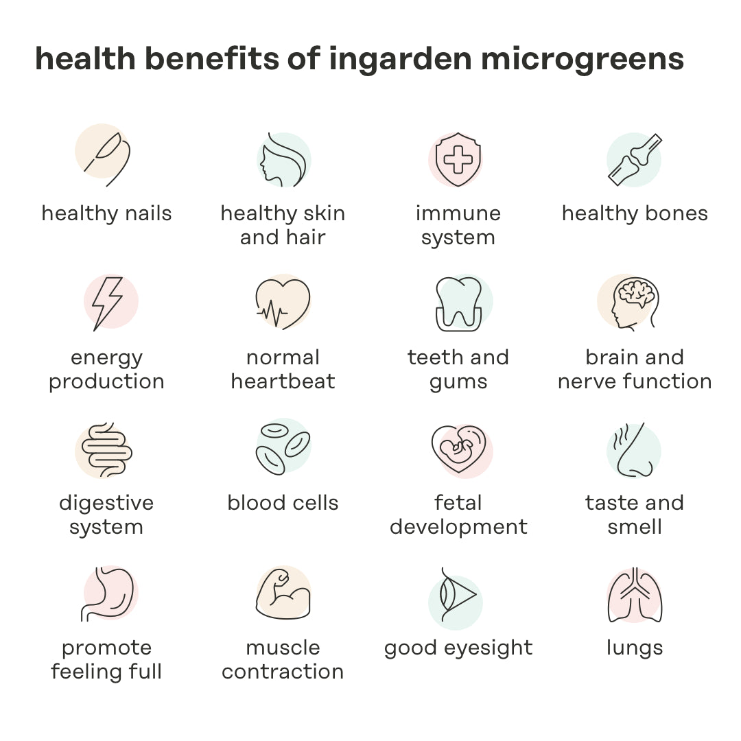 ingarden starter kit - 1 ingarden + 1 refill pack