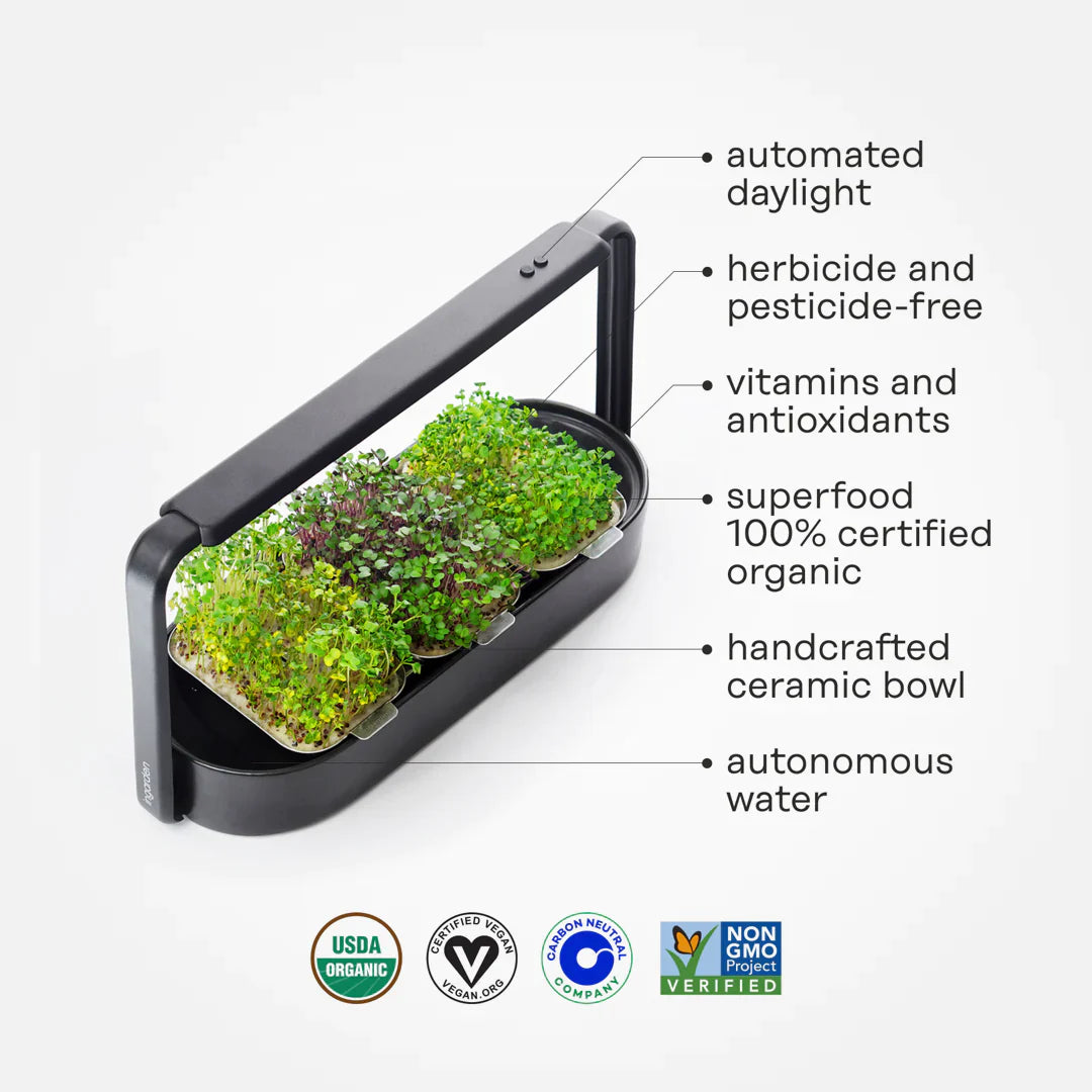 ingarden starter kit - 1 ingarden + 1 refill pack