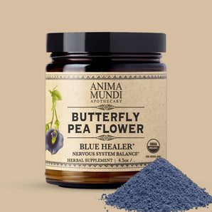 BUTTERFLY PEA FLOWER | Blue Healer