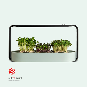 ingarden starter kit - 1 ingarden + 1 refill pack